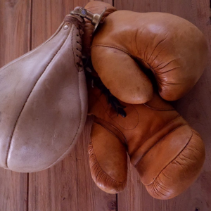 vintage boxing gloves and speed bag